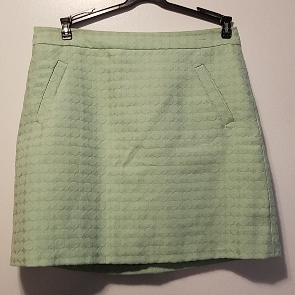 The Limited skirt